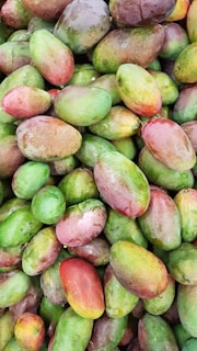 A large pile of fresh mangoes with varying shades of green, yellow, and red, indicating different stages of ripeness. The surface of the mangoes appears smooth and slightly shiny, suggesting they have been recently washed or are covered with a light dew.
