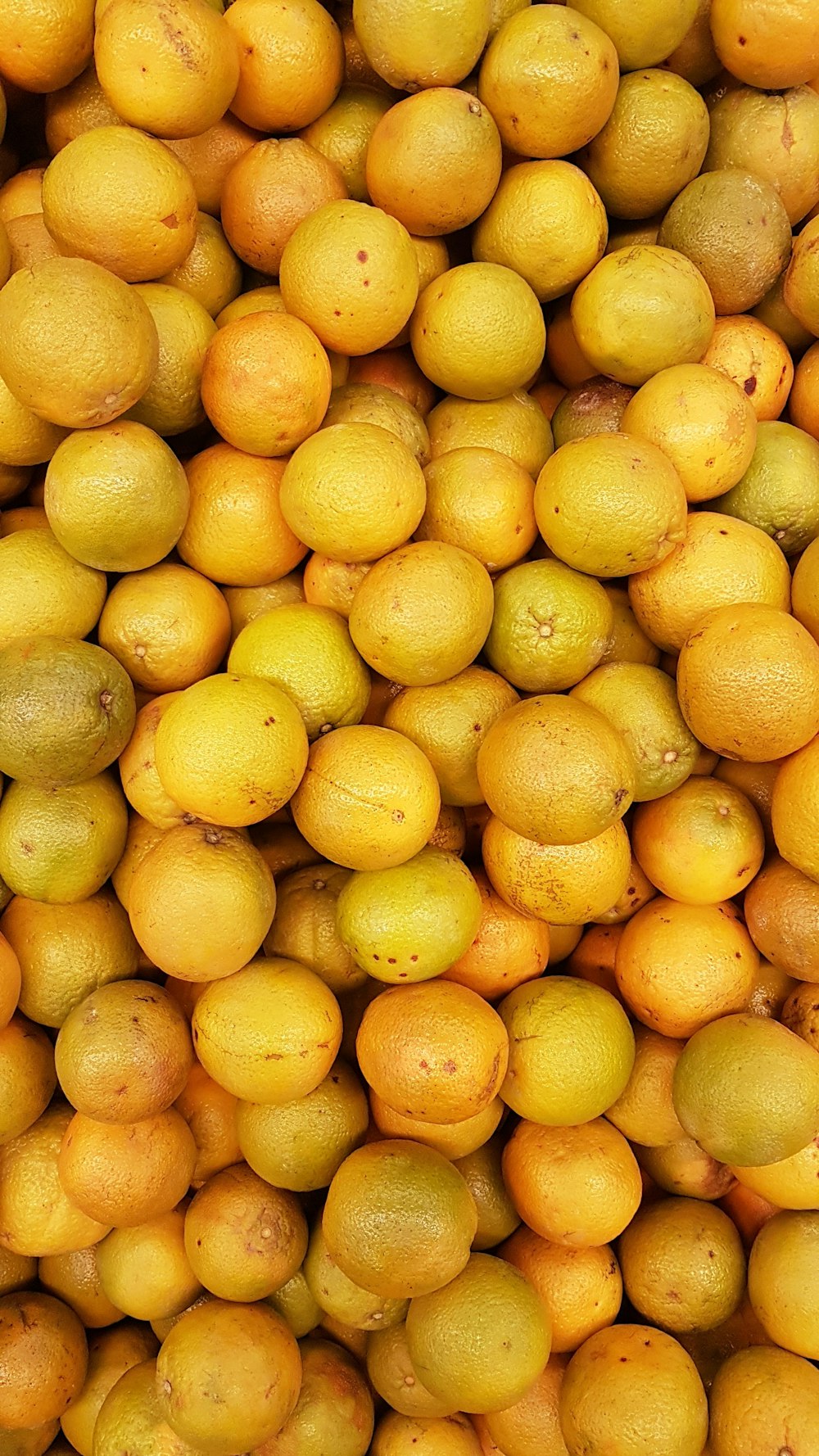 yellow citrus fruits on white ceramic plate