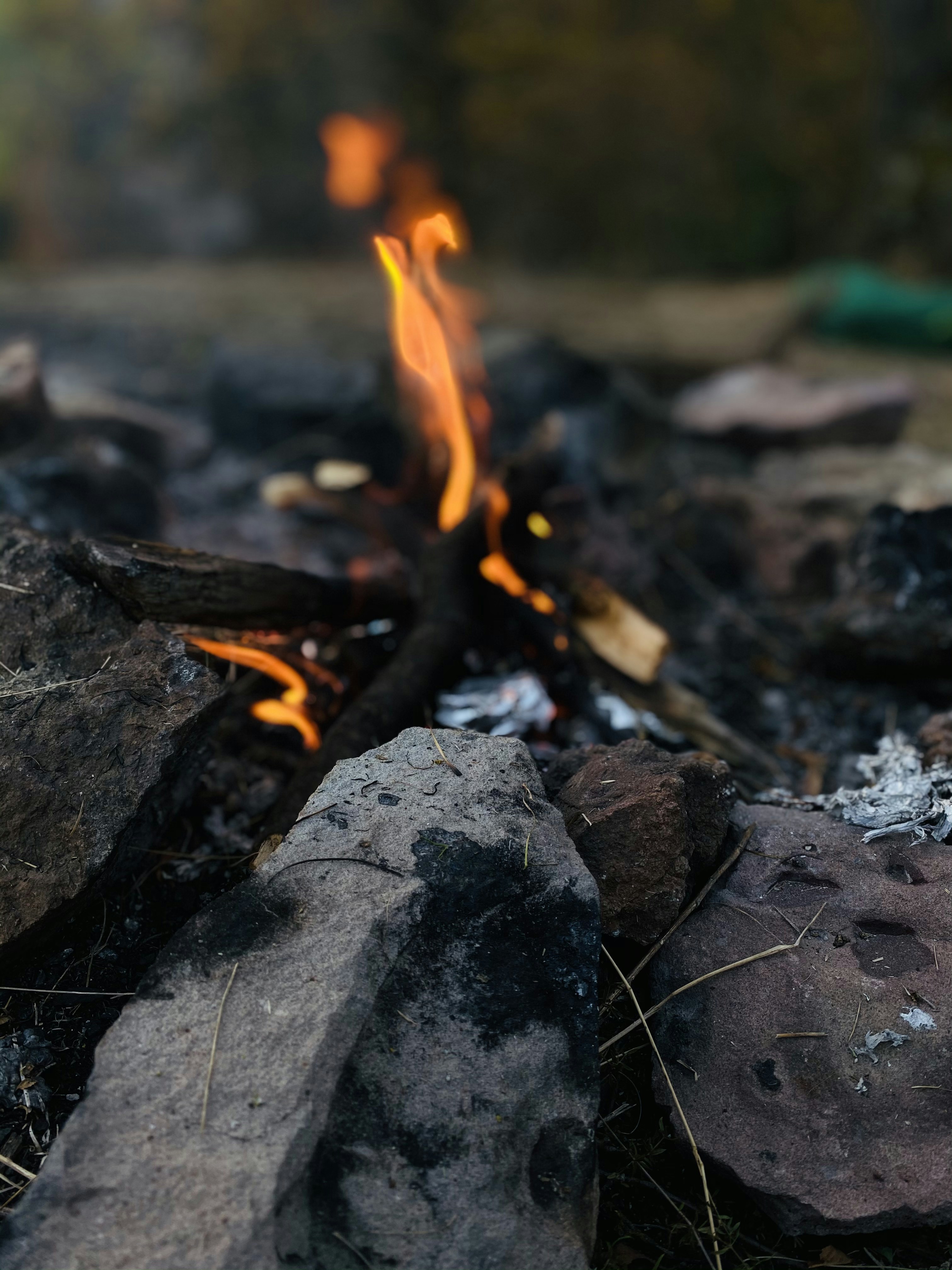 Photo by medinahadjam