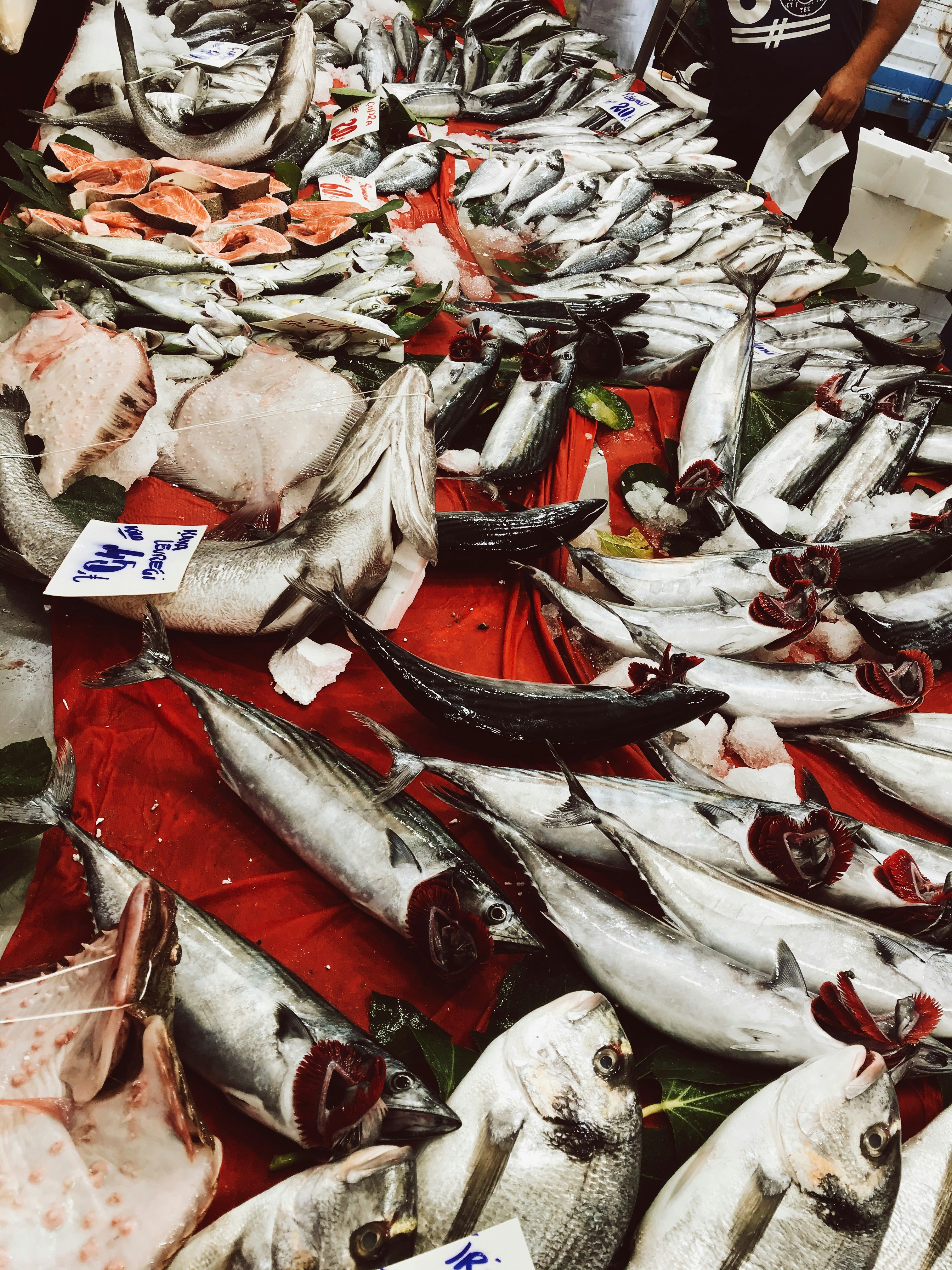 ikan putih dan merah di atas meja kayu coklat