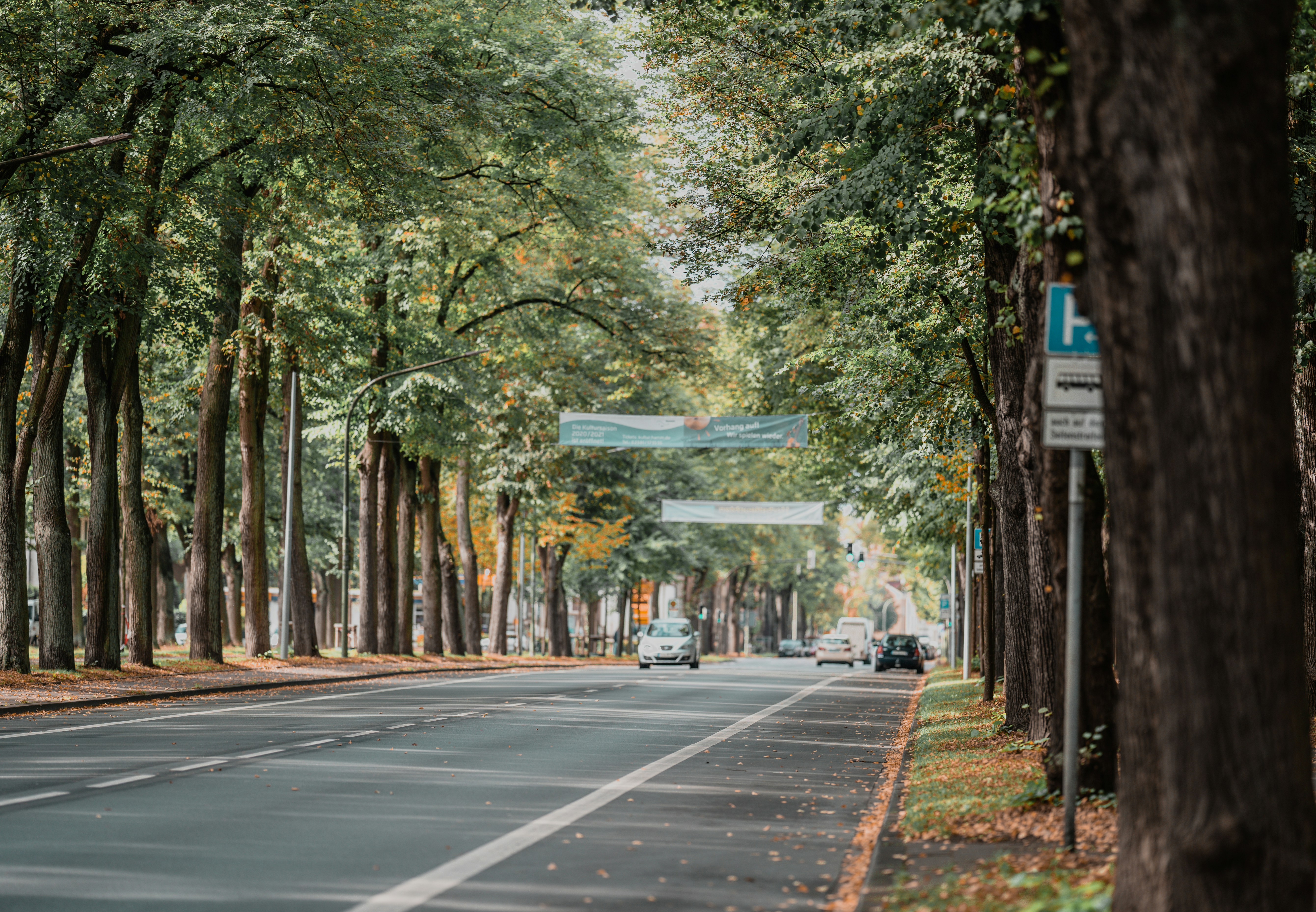 Photo by omarvellous14