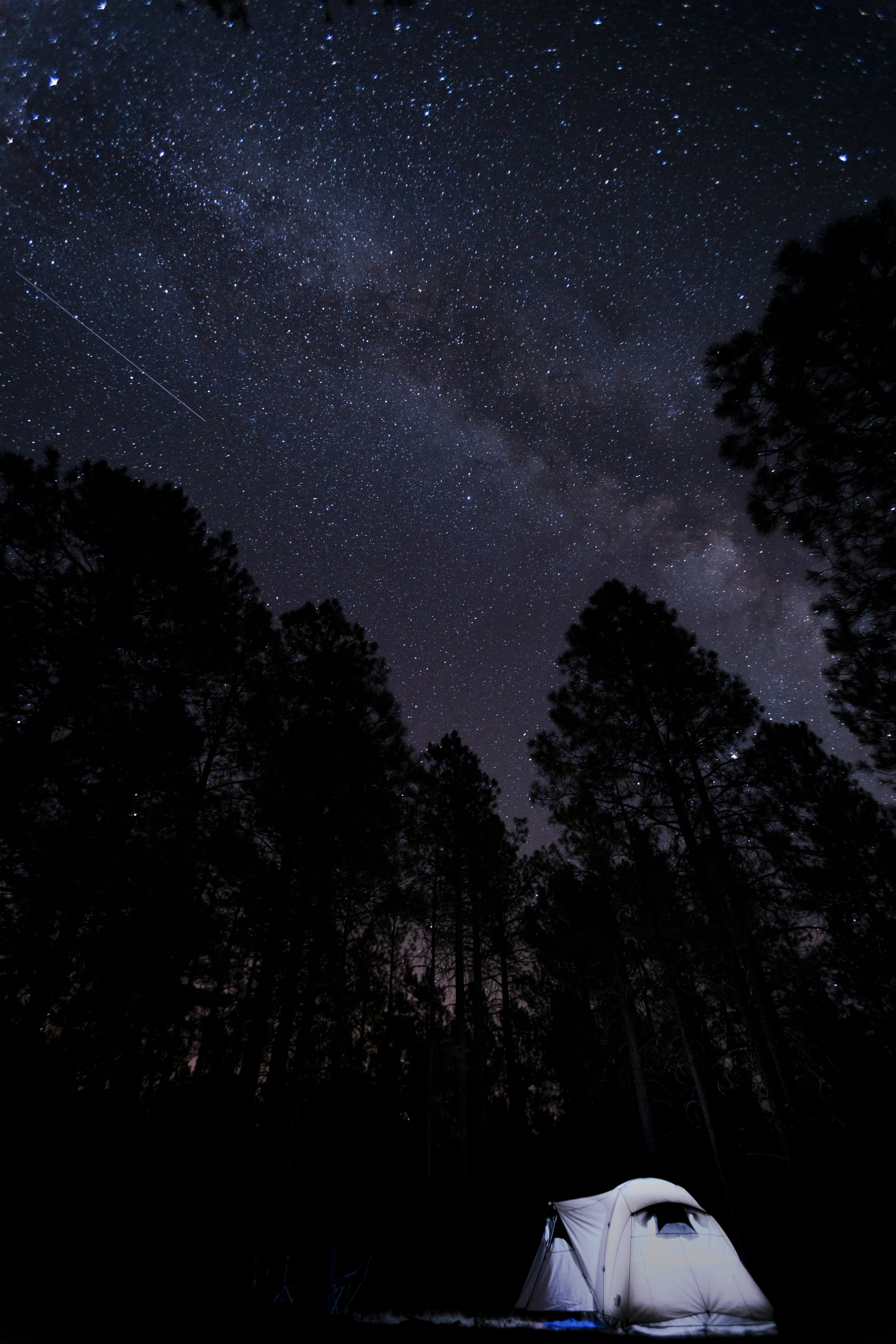 Photo by loganmayerr