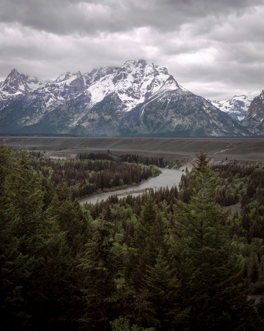 green pine trees near snow covered mountain during daytime