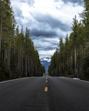 gray asphalt road between green trees under gray cloudy sky during daytime
