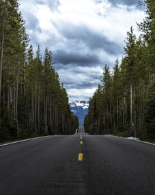 gray asphalt road between green trees under gray cloudy sky during daytime