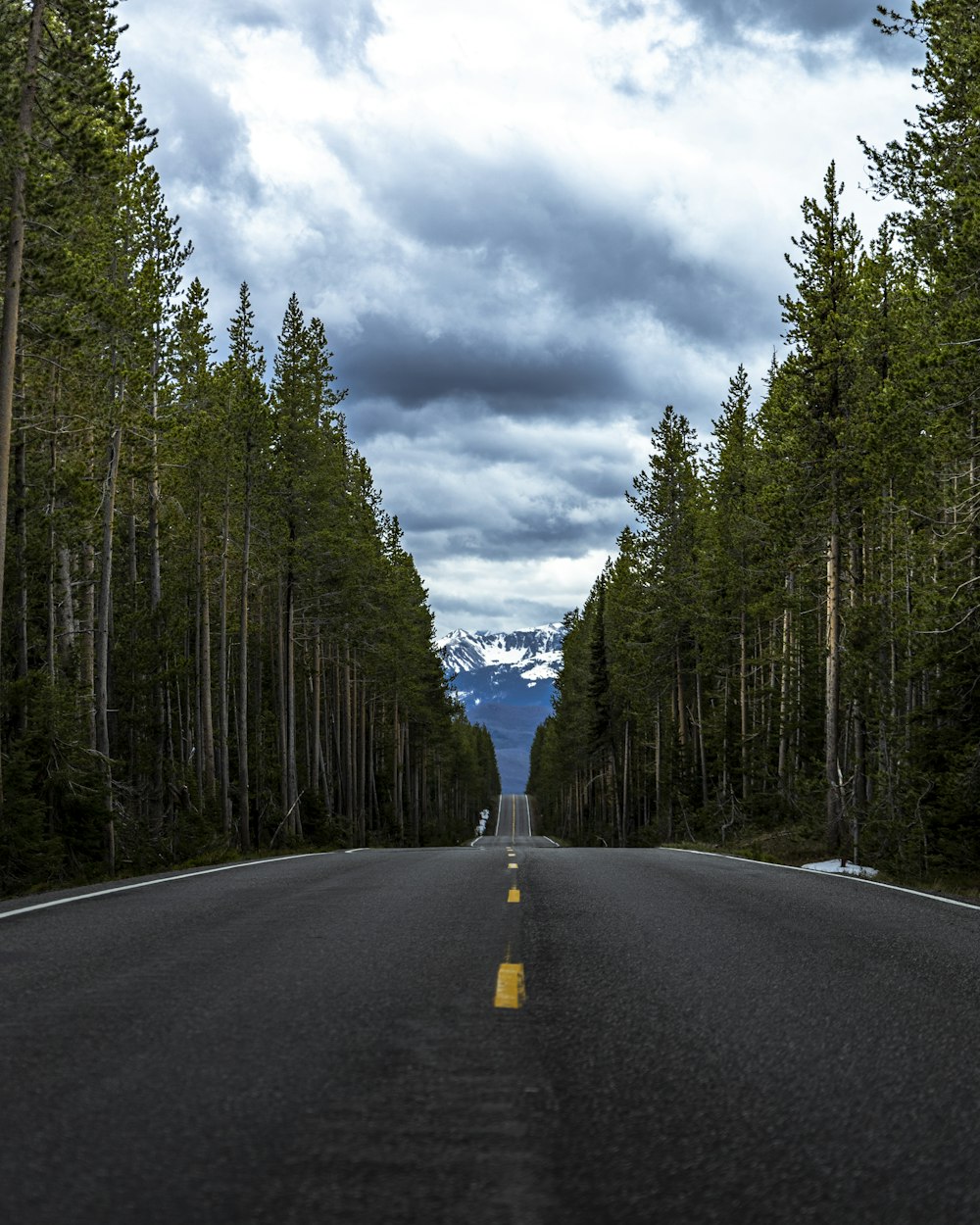 estrada de asfalto cinza entre árvores verdes sob o céu nublado cinzento durante o dia
