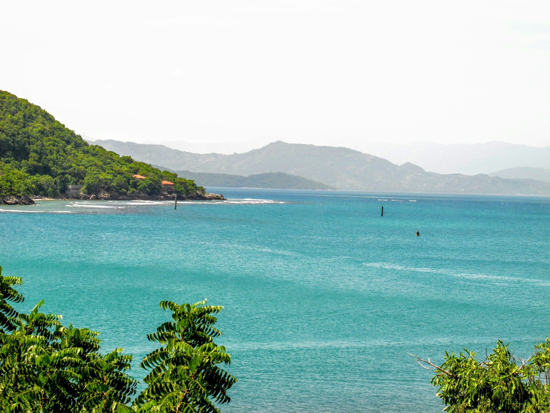 green trees near body of water during daytime