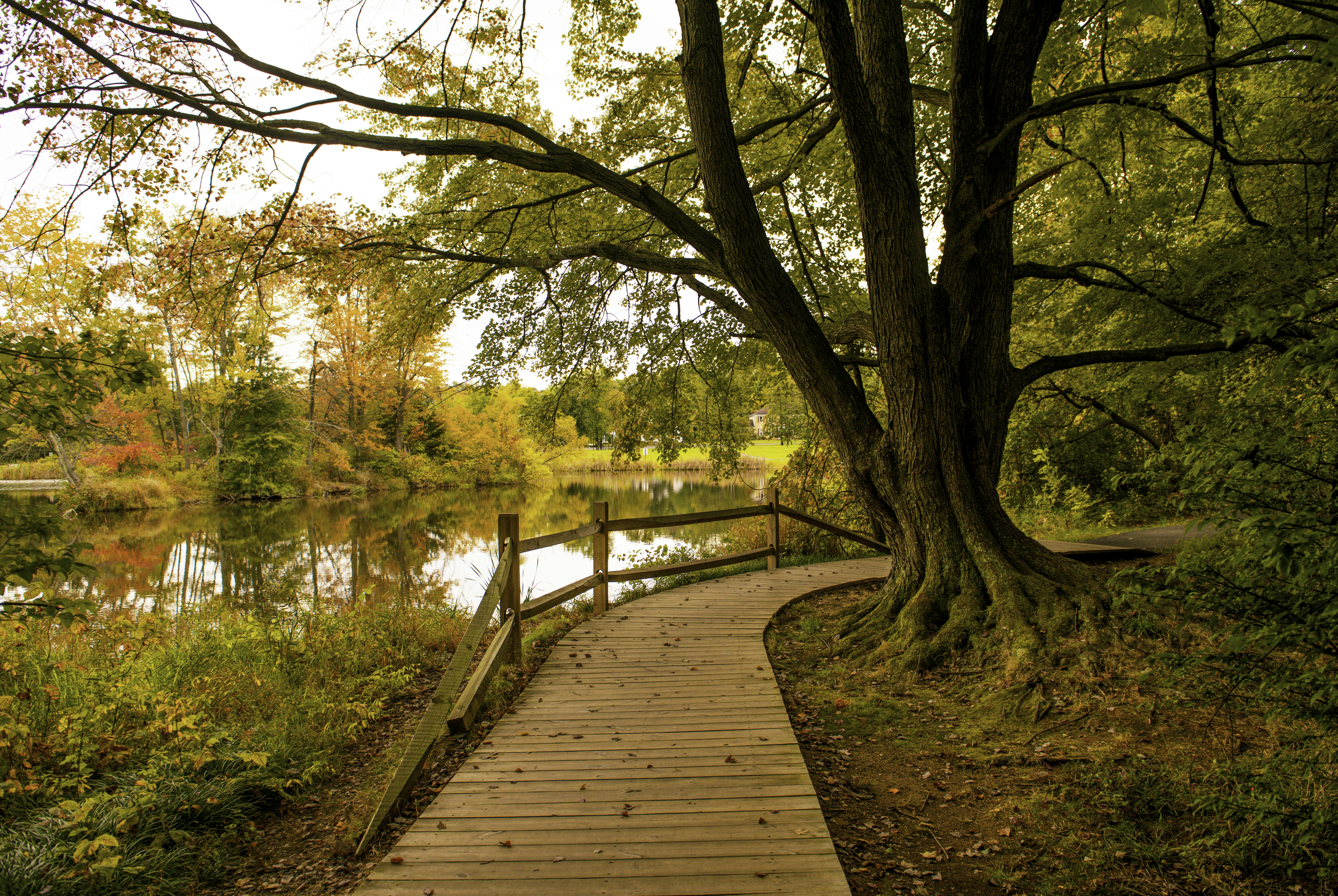 Photo by sriniunsplash