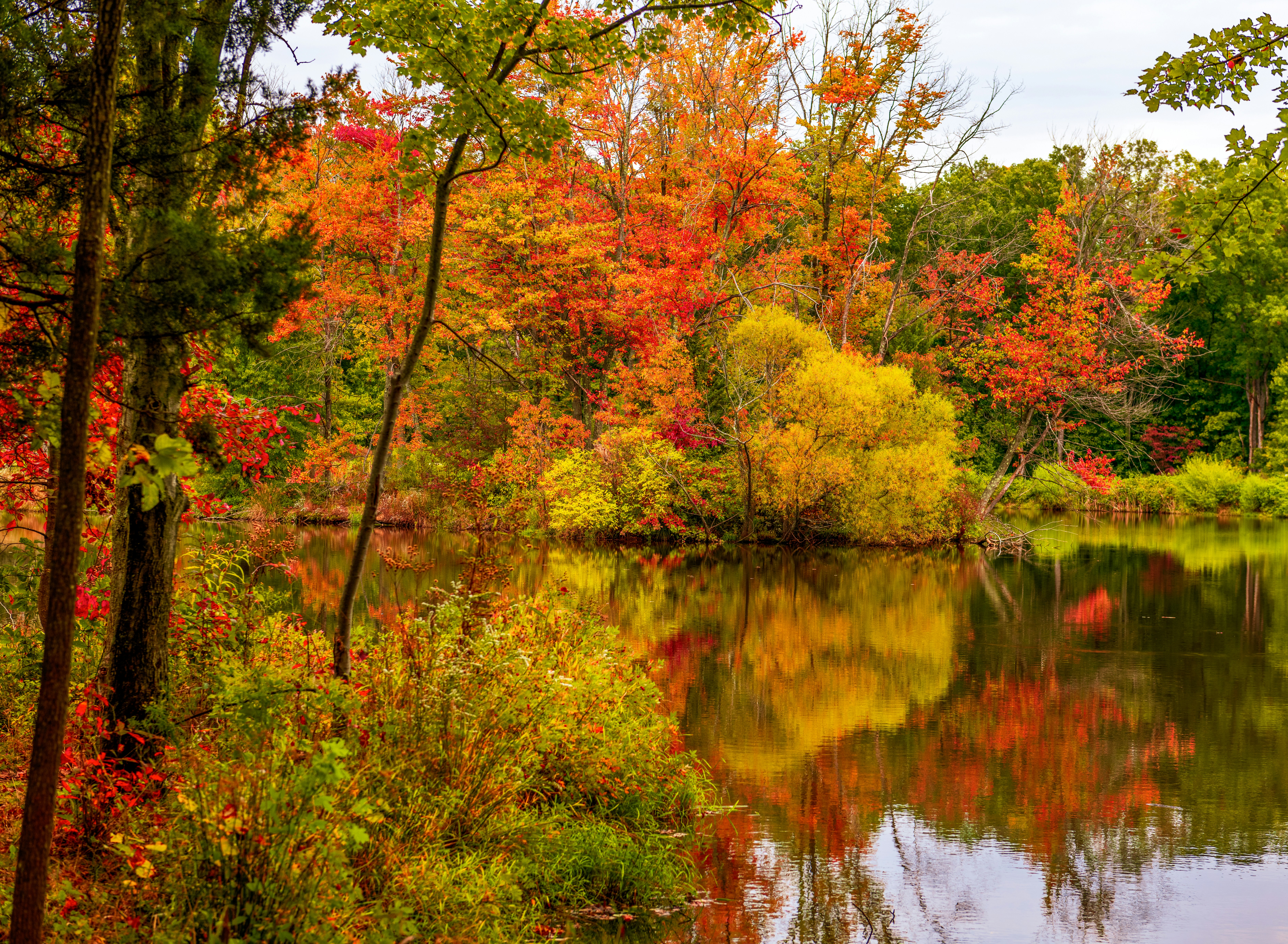 Photo by sriniunsplash