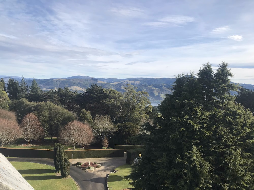 green trees and mountains under blue sky during daytime