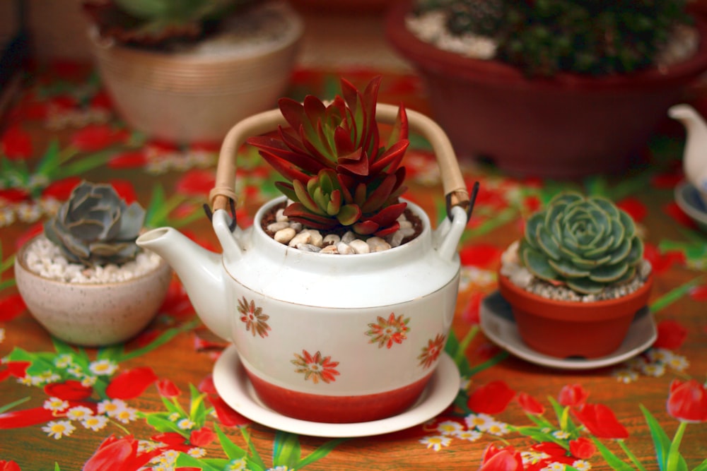 white and red floral ceramic teapot on white and red floral ceramic saucer