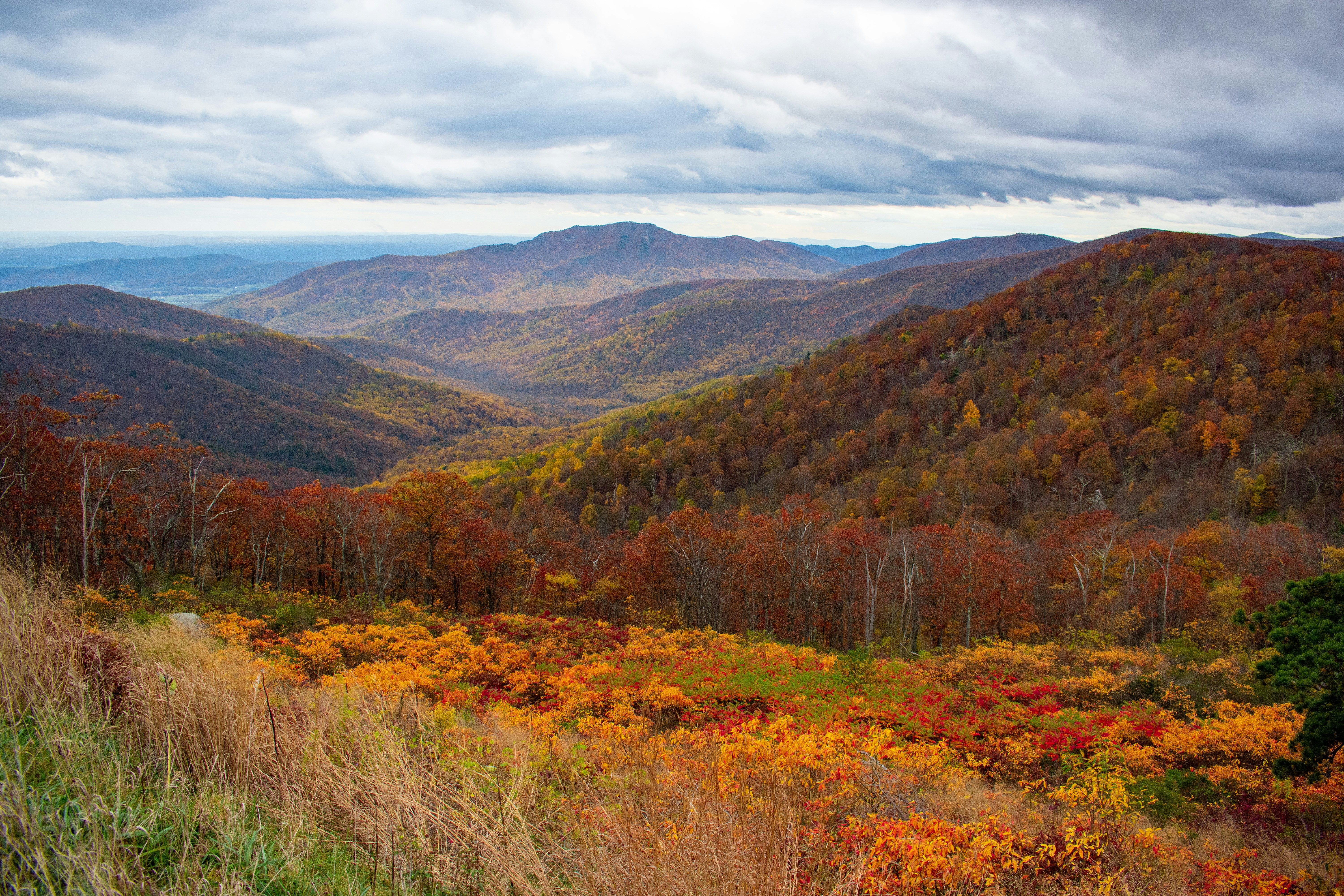Shenandoah National Park