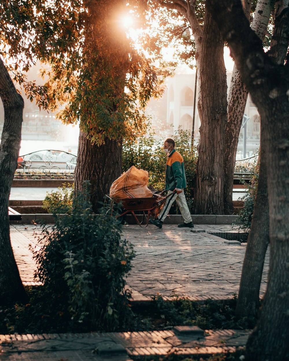 man in red shirt sitting on brown wooden bench under brown tree during daytime