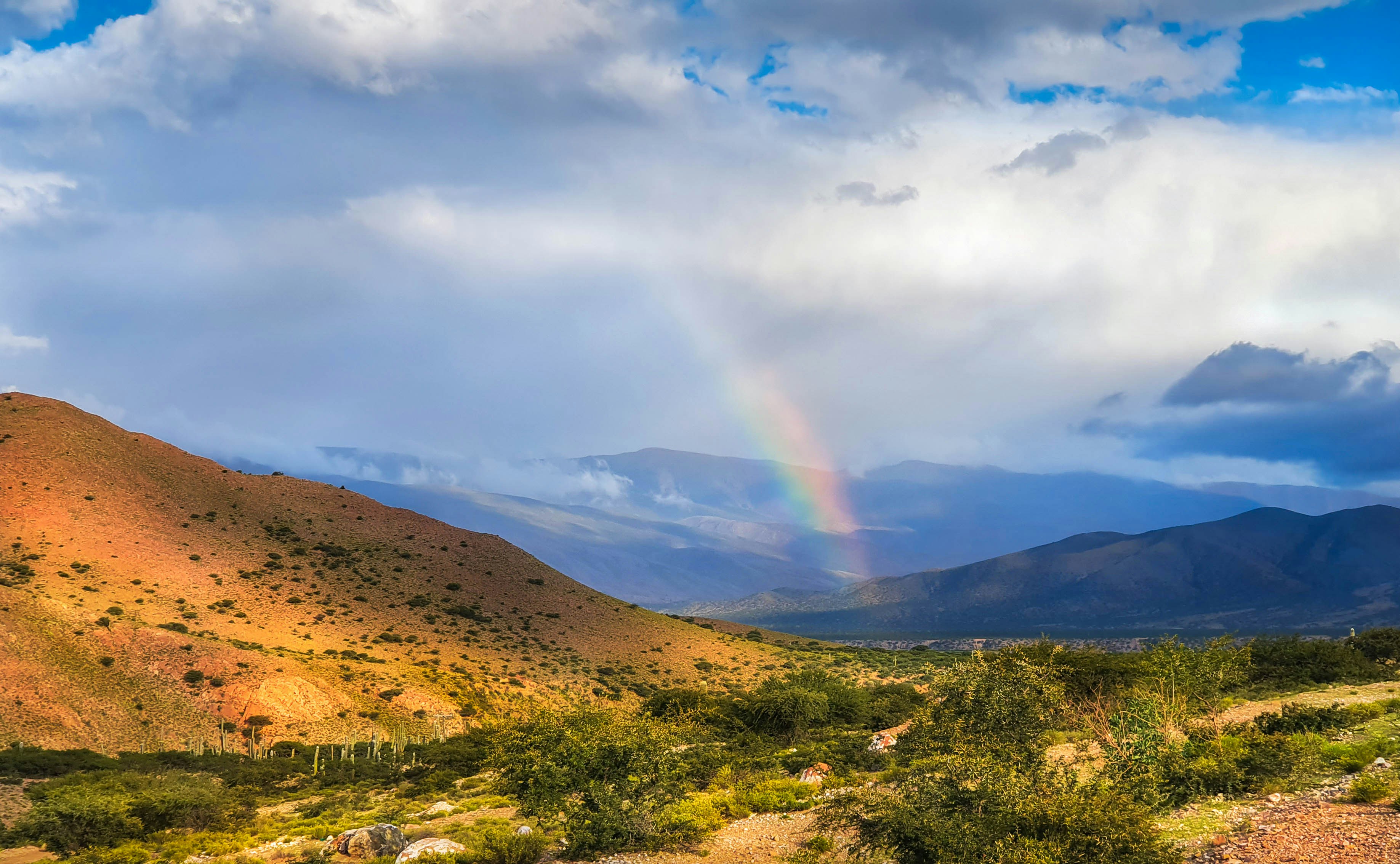 Photo by argentinanatural