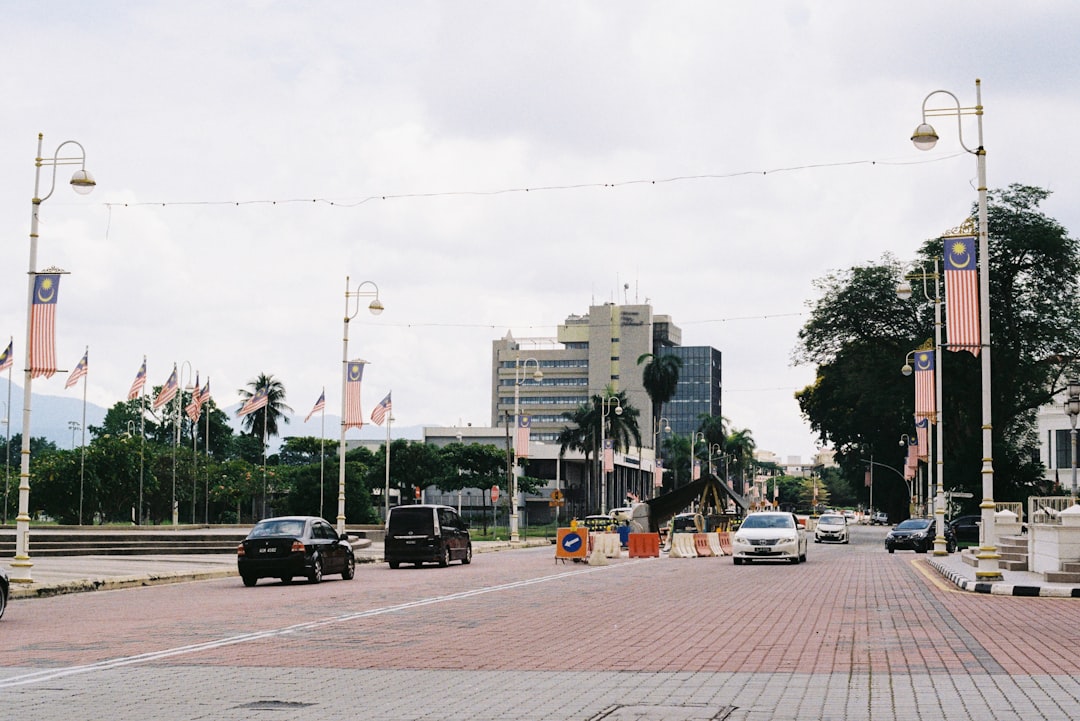 cars on road near buildings during daytime