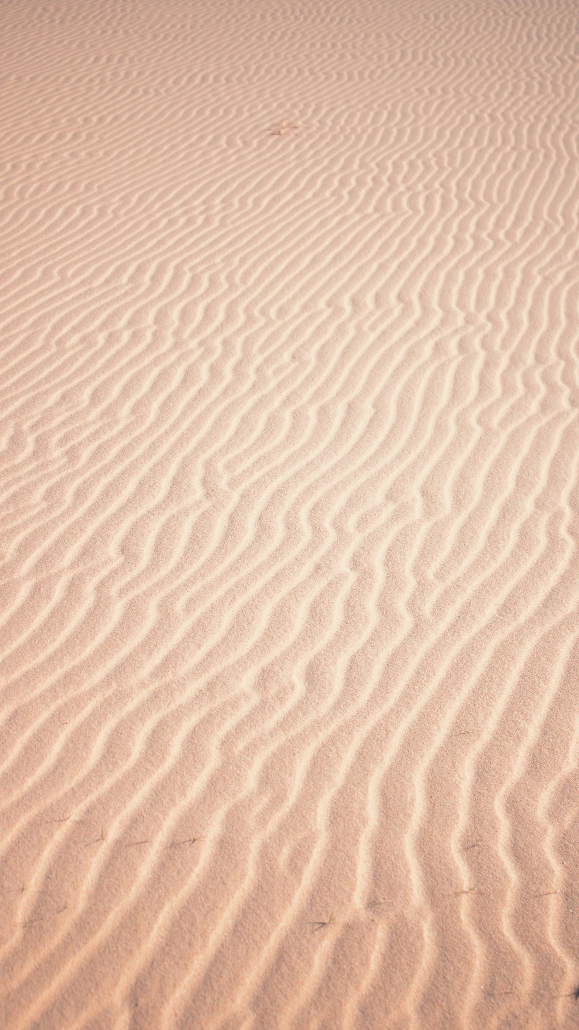 brown sand with white sand