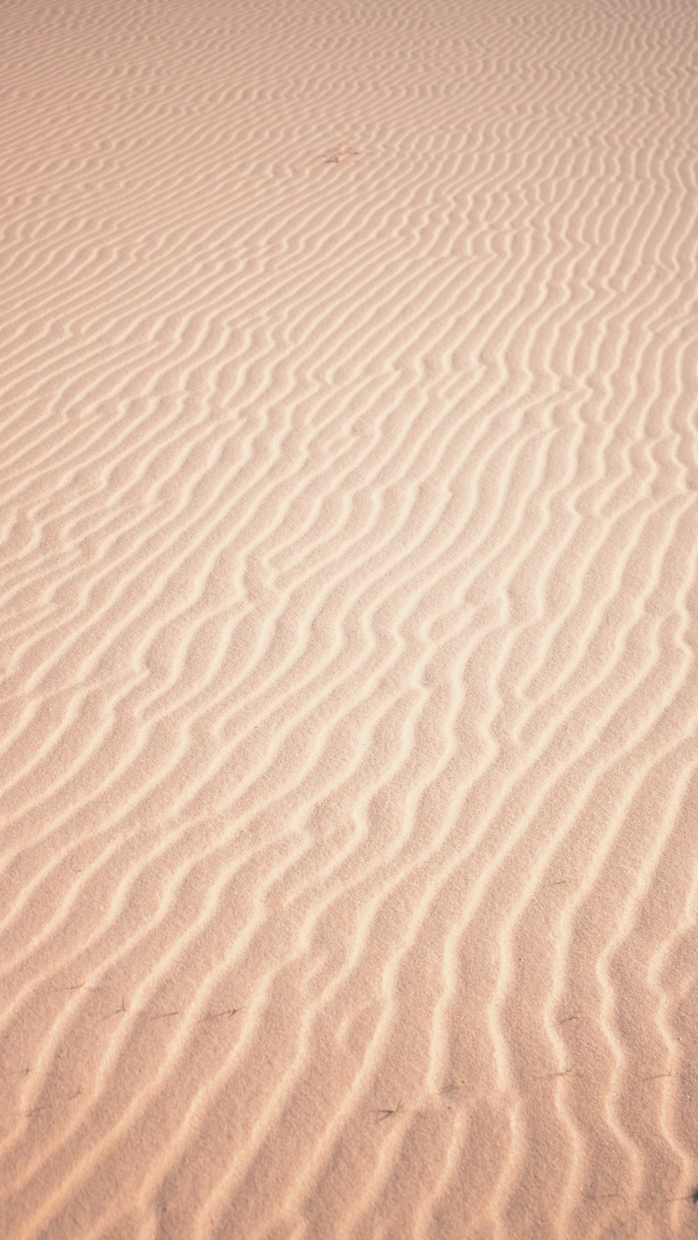 Arena marrón con arena blanca