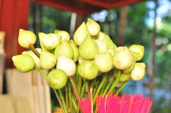 A bundle of pale green lotus buds with long stems is gathered together, accompanied by bright pink incense sticks. The background shows a blurred outdoor setting with greenery and some structures, possibly creating a soft bokeh effect.