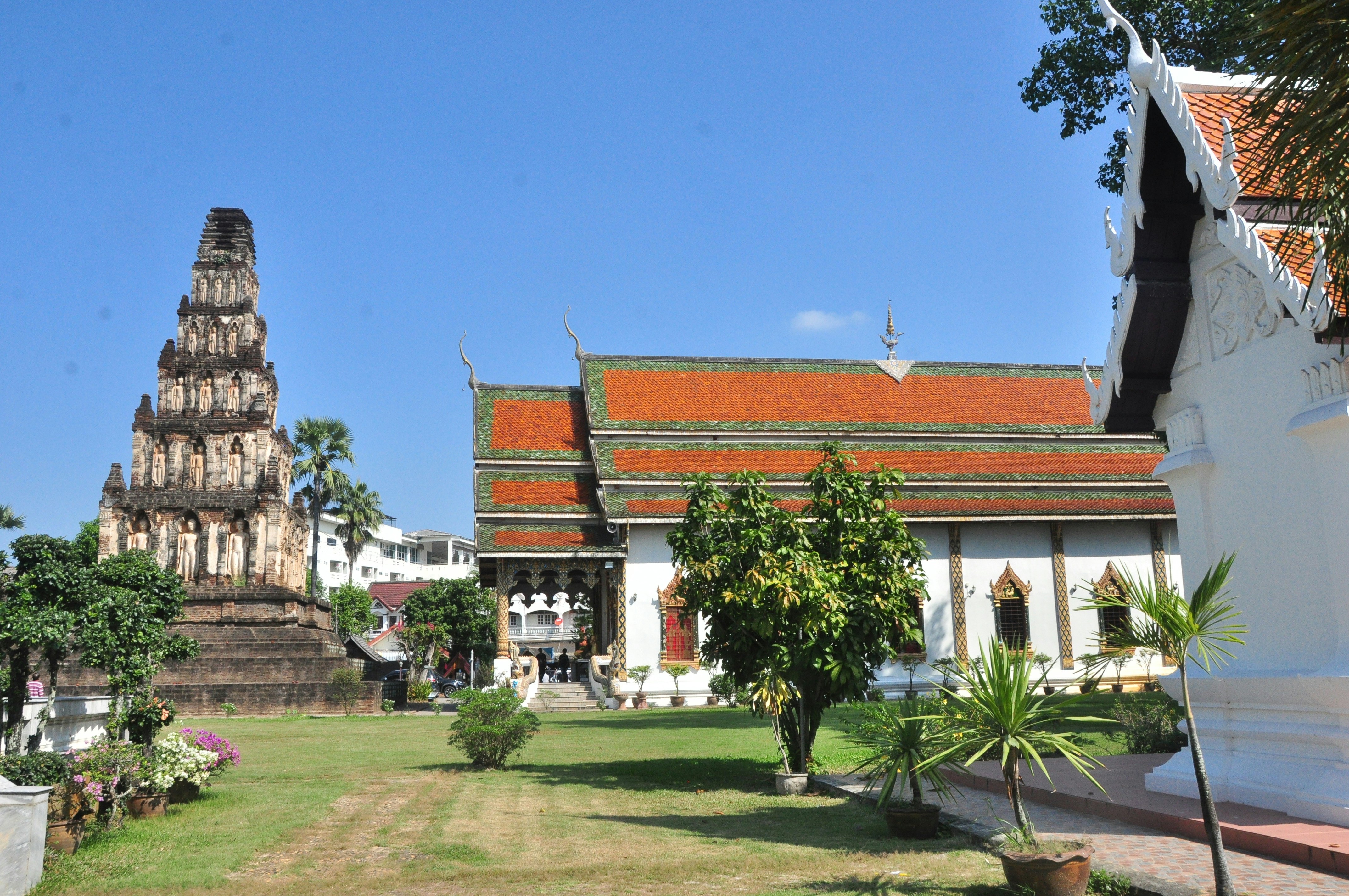 Photo by idonothingbutlove