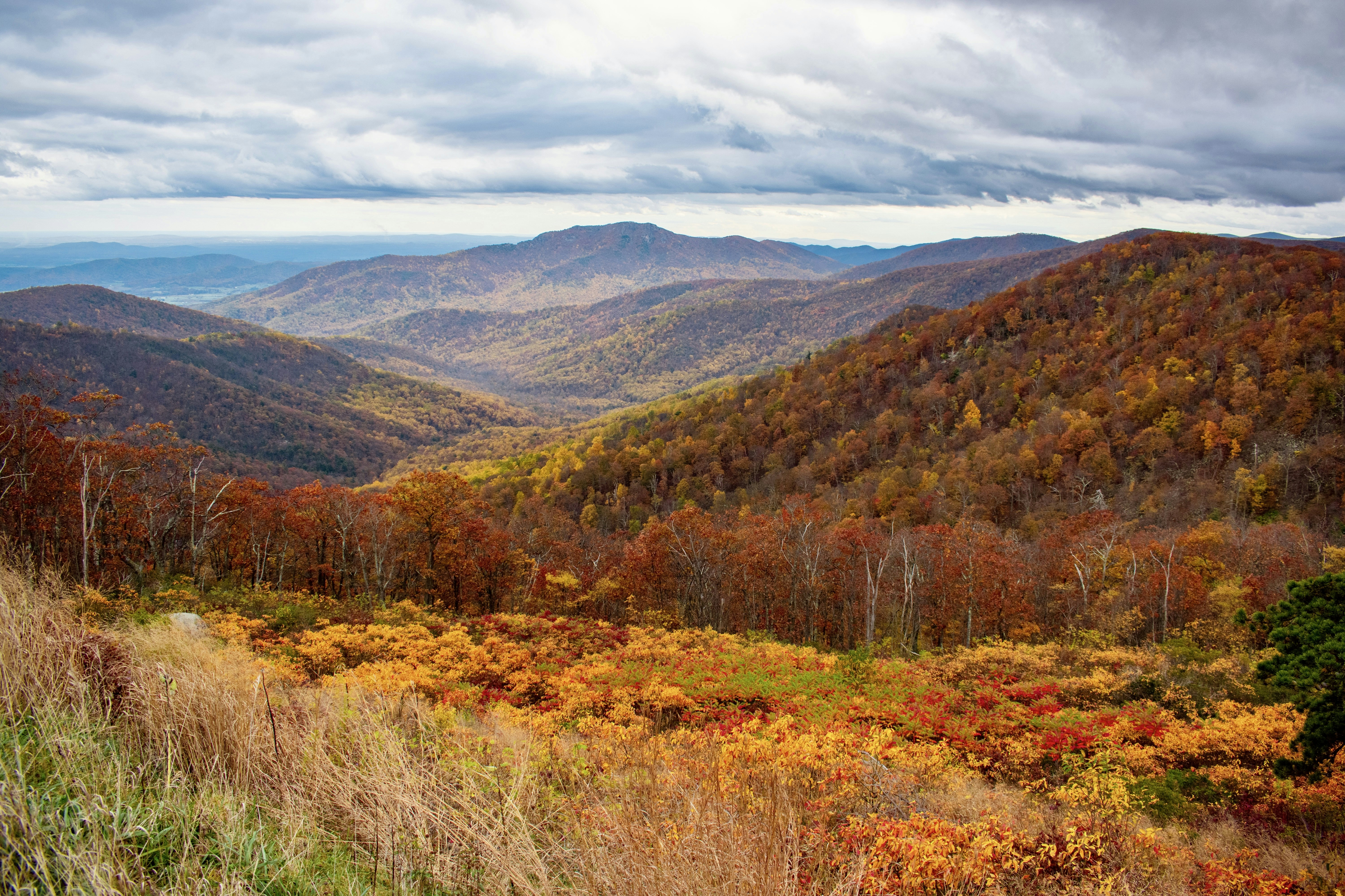 Photo by katuriakhila