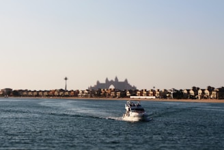white and blue boat on sea during daytime