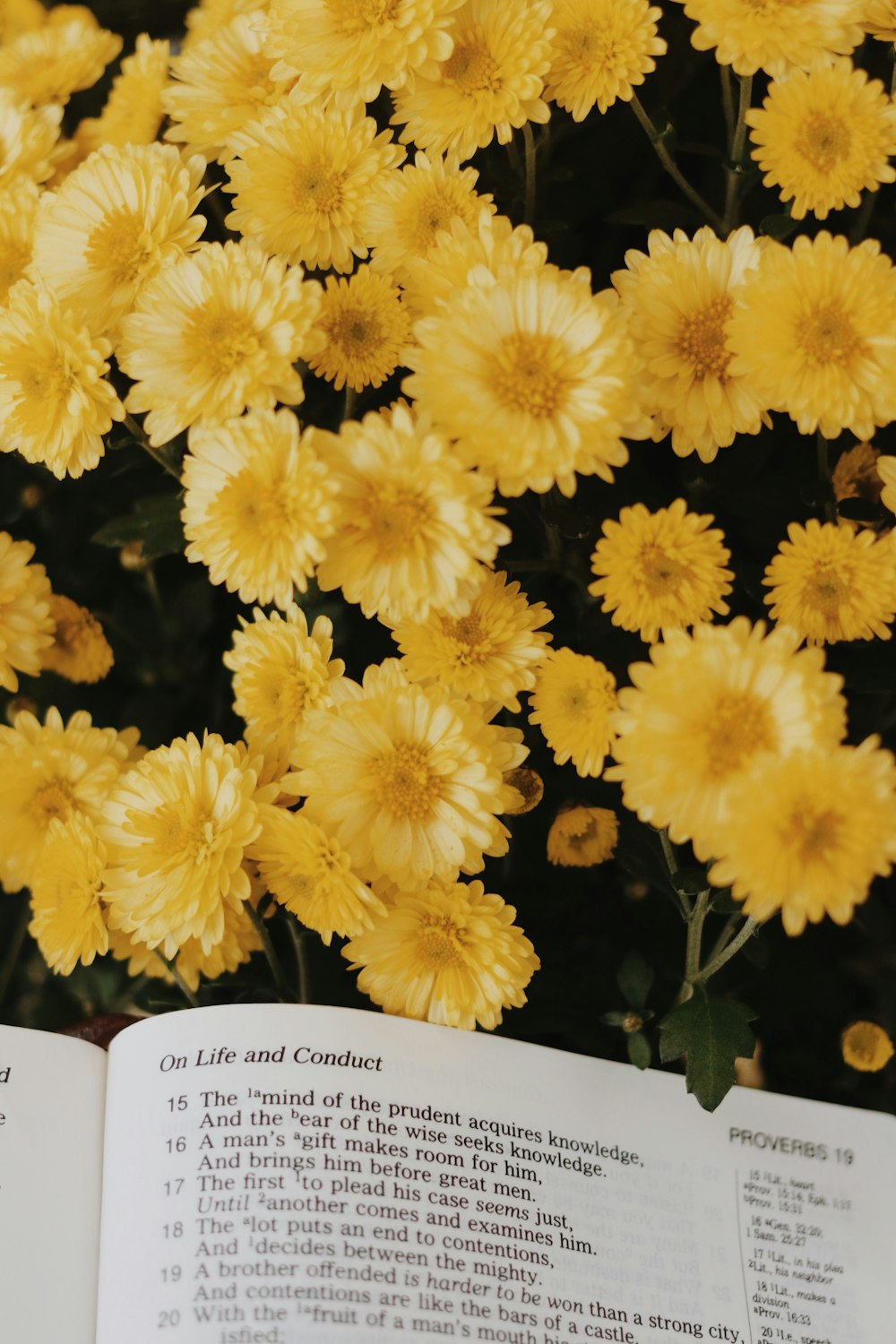 yellow flowers on white paper