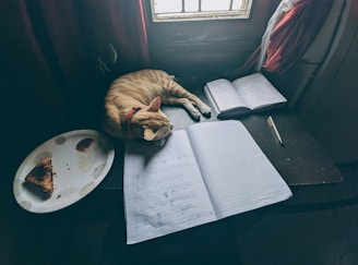 An open book surrounded by scattered notes and a cat sleeping nearby.