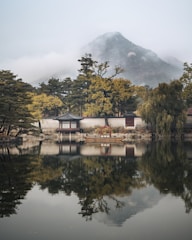 A serene Korean temple setting where bamboo salt is traditionally prepared.