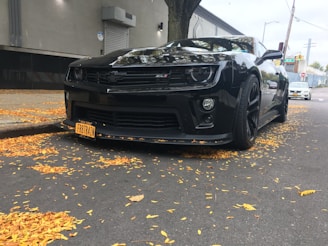 A sleek black sports car is parked on a city street covered with yellow autumn leaves. The car has a prominent front grille and a New York license plate. The background includes a building with a metal shutter and a tree.