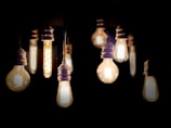 A display of various light bulbs in different shapes.