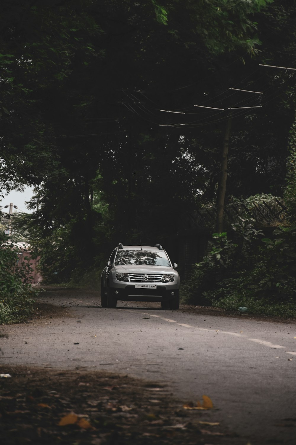 white car on road between trees during daytime