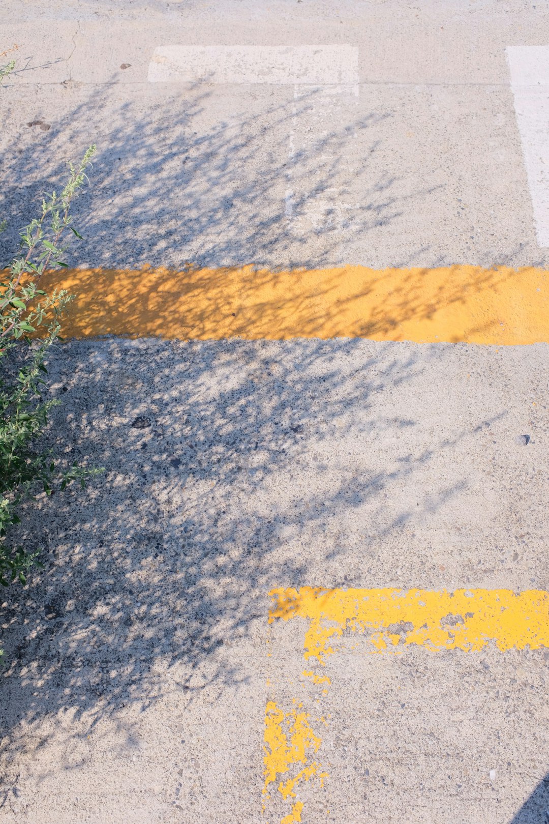 yellow and gray concrete floor