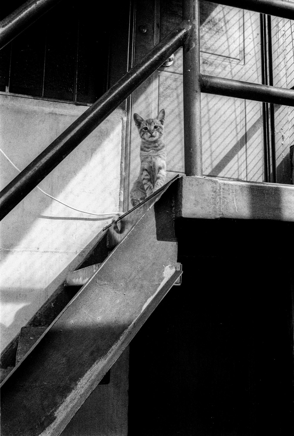 grayscale photo of woman in black jacket standing on stairs