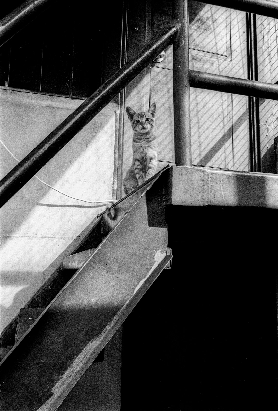 grayscale photo of woman in black jacket standing on stairs