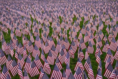 black white and red textile memorial day zoom background