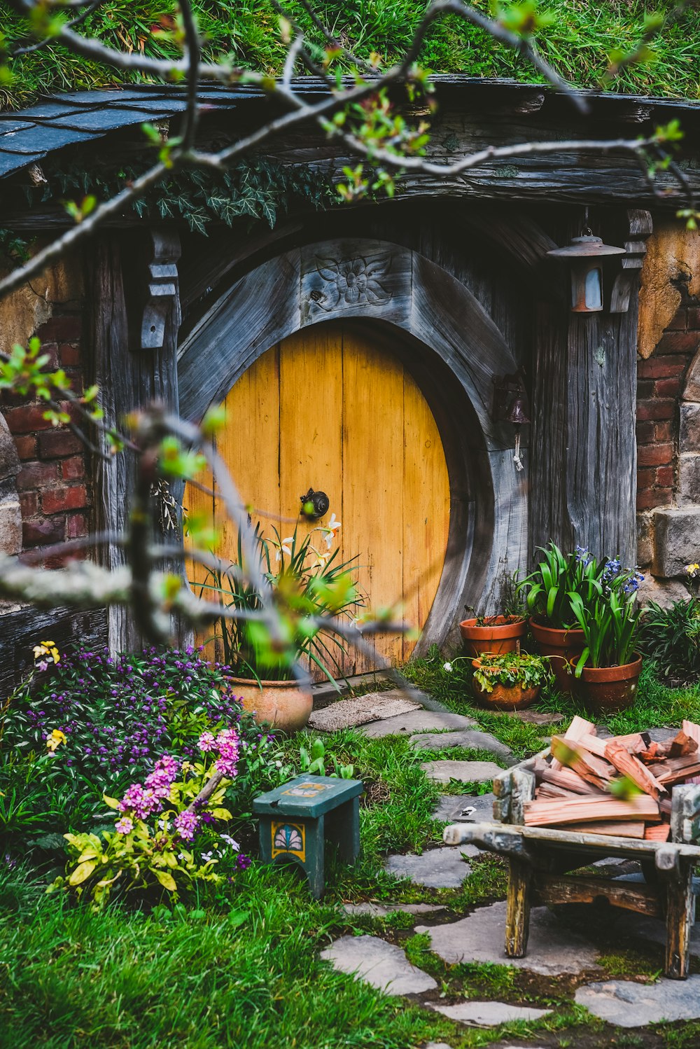 brown wooden door near purple flowers