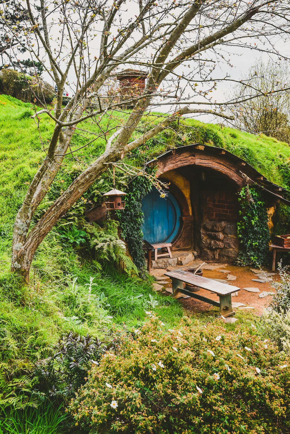 casa de madeira marrom perto de grama verde e árvores durante o dia