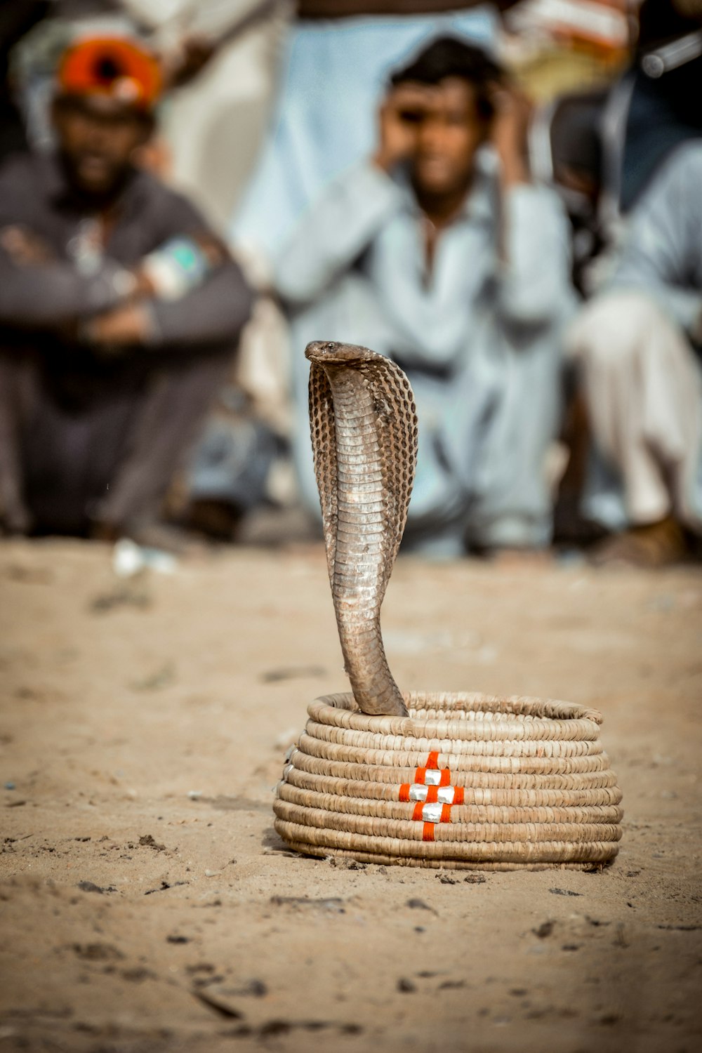 brown woven basket on brown sand