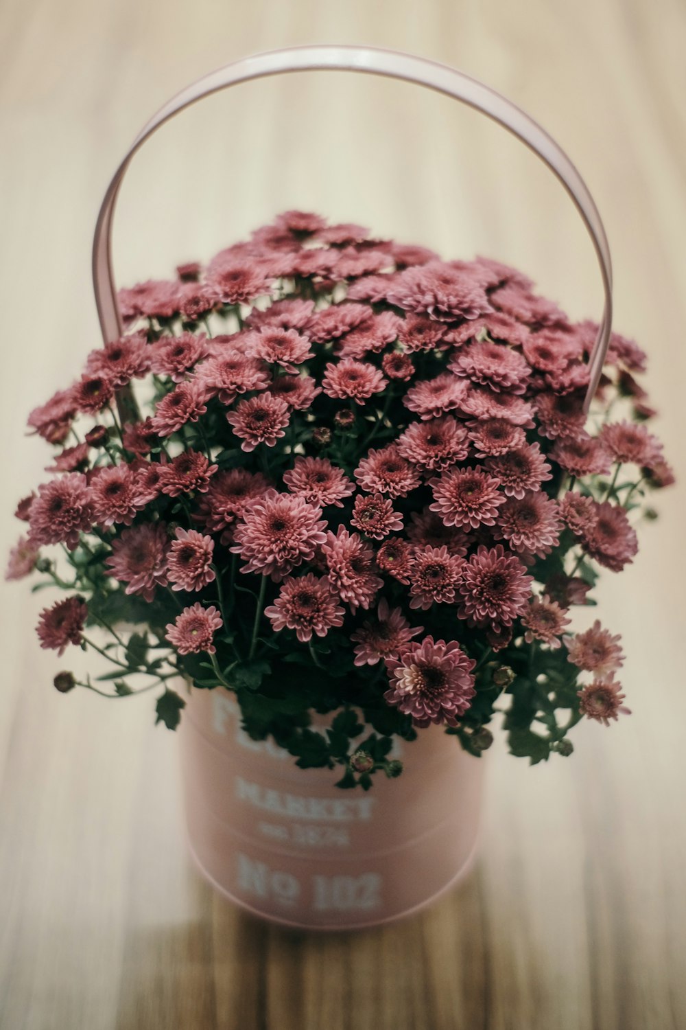 pink flowers in white ceramic vase