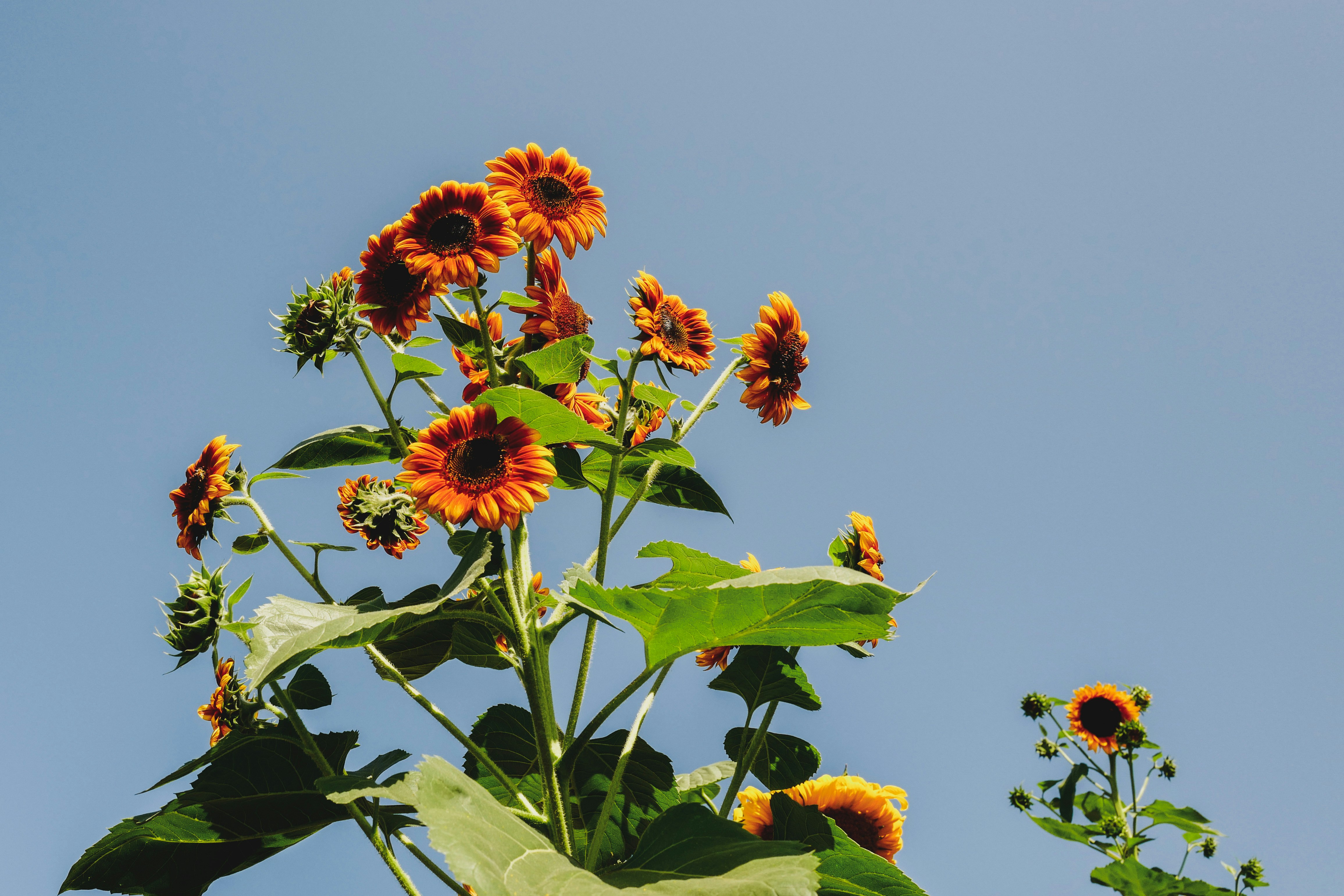 Photo by kekekristen