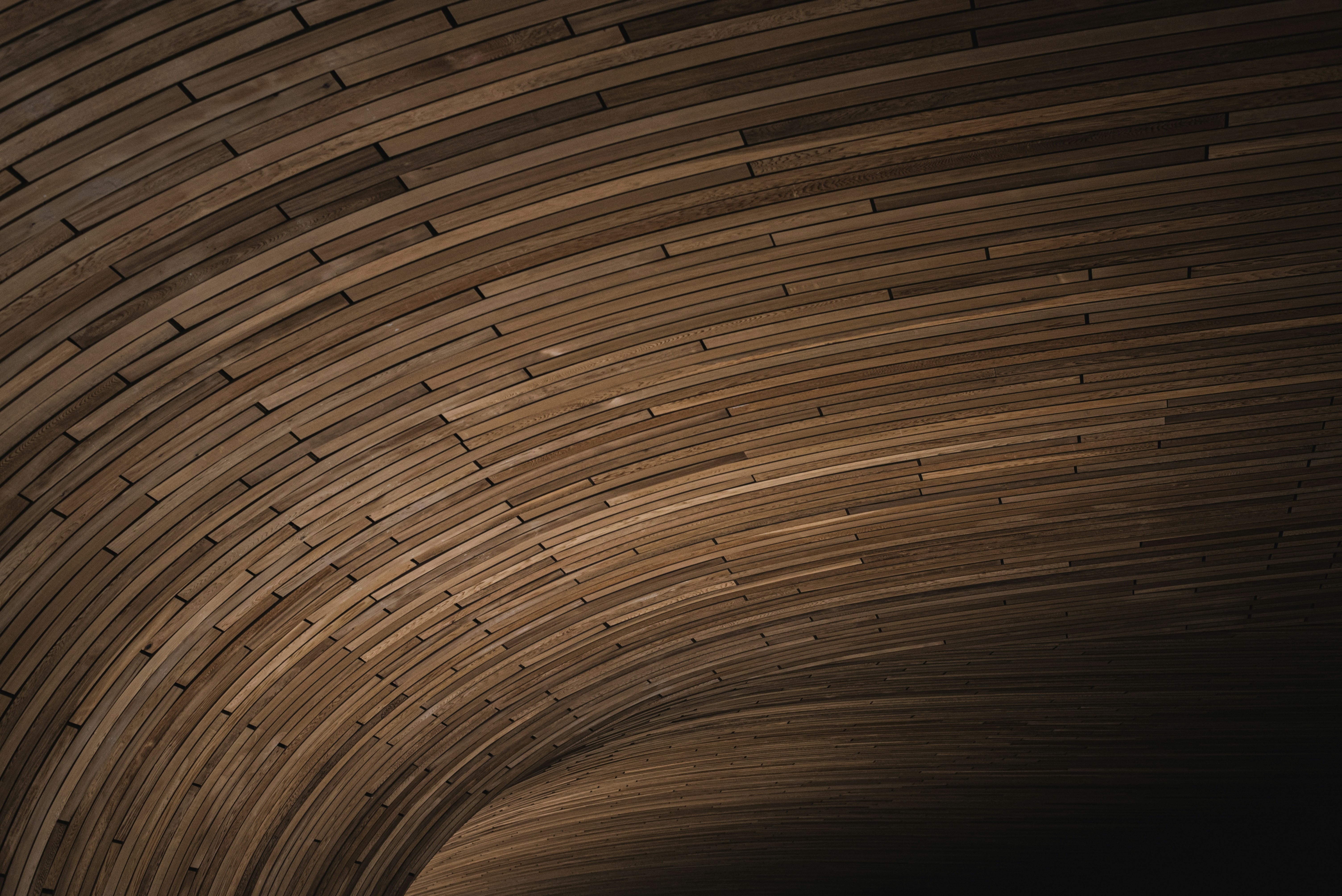 Photo by ryunosuke_kikuno