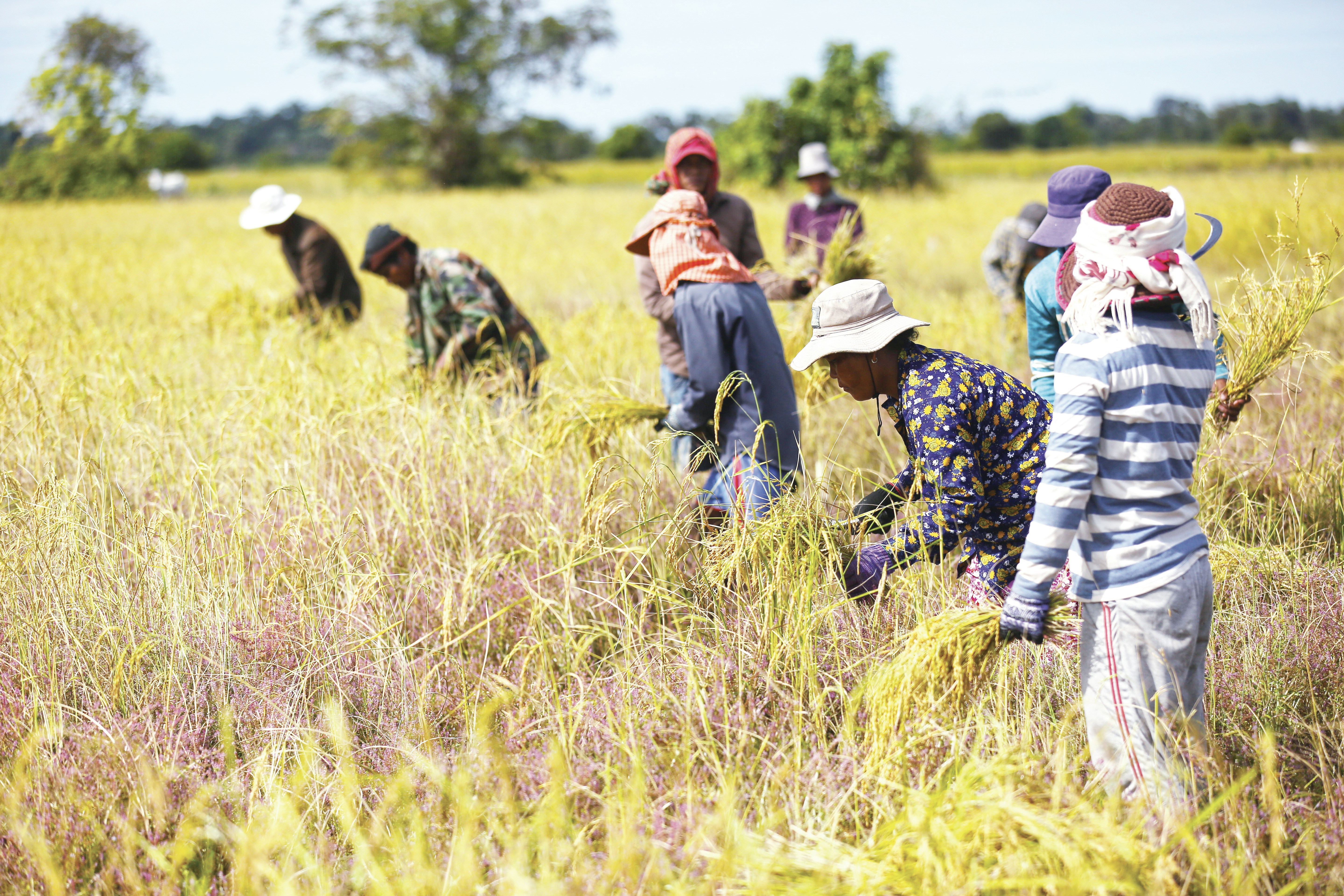 Photo by ny_menghor2020