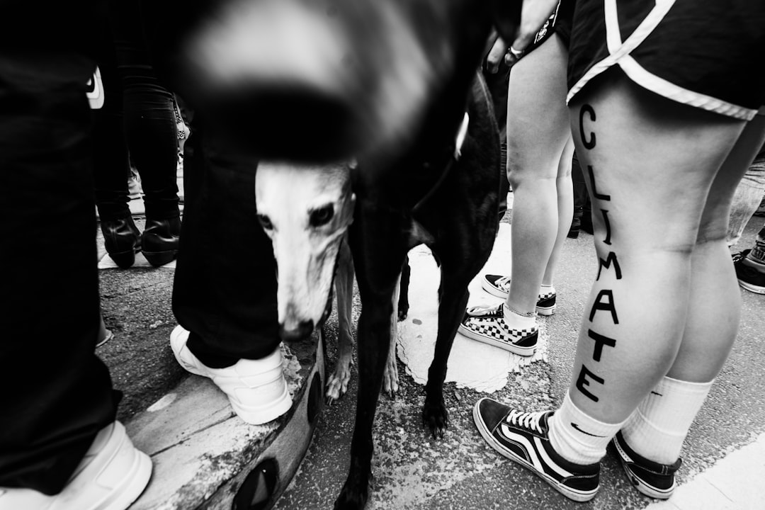 grayscale photo of person in black and white adidas sneakers standing beside horse