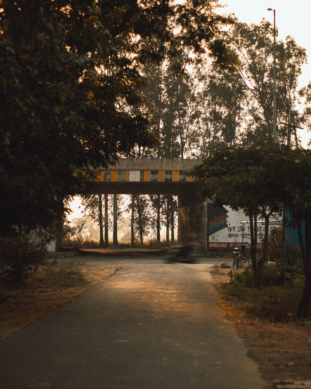 Arbres bruns et verts près du bâtiment pendant la journée