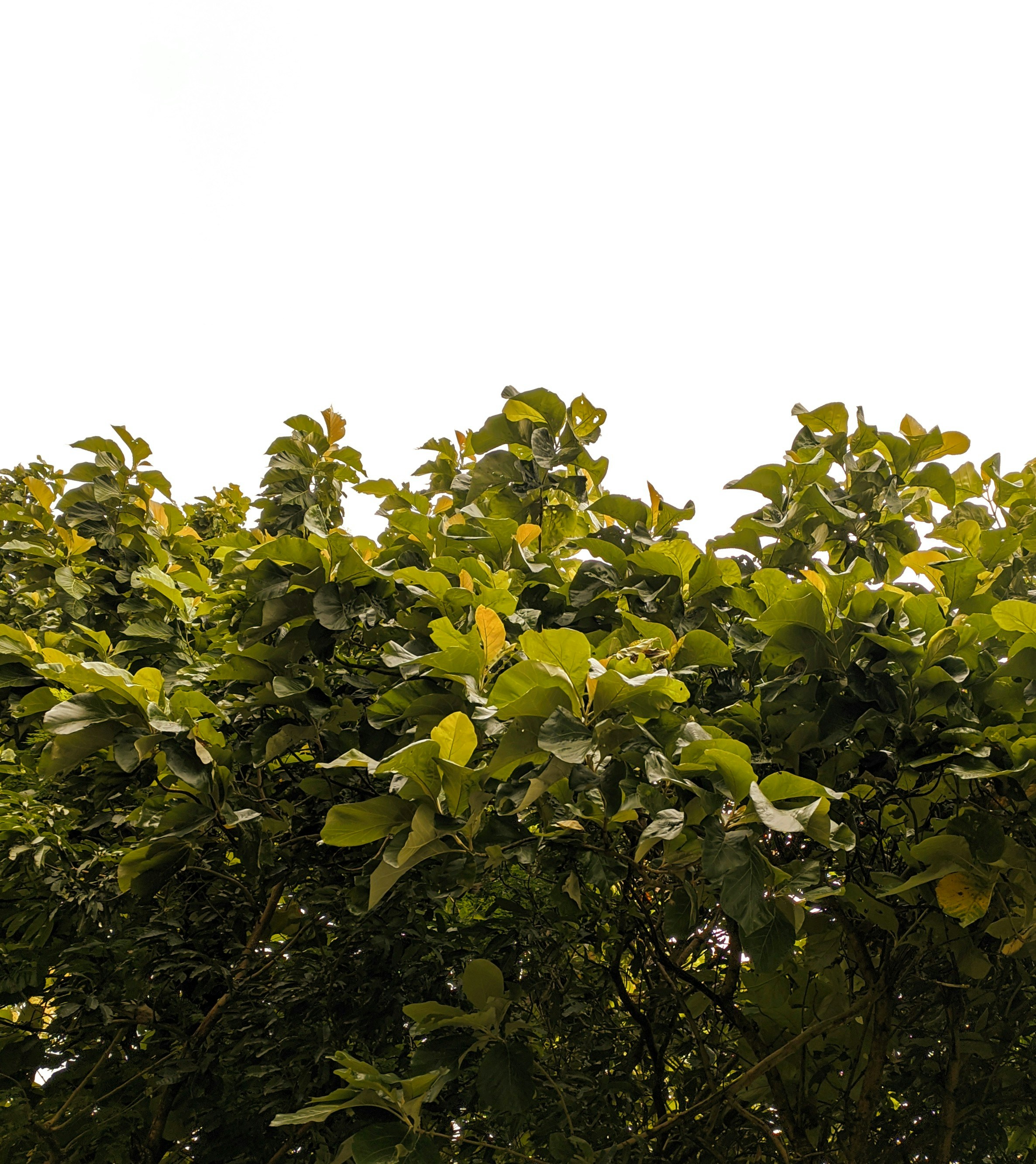 Photo by jasperamethyst