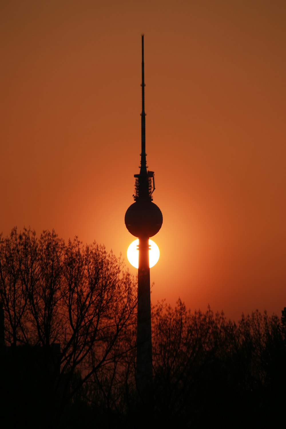 Silueta de árboles durante la puesta del sol