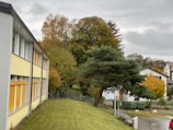 A school or office building with a yellow facade is situated beside a grassy lawn. In the background, there's a mix of green and autumn-colored trees. Overcast skies with a few patches of clouds loom above, creating a slightly overcast ambiance.