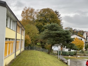 A welcoming school office with green and yellow accents reflecting the school's colors.
