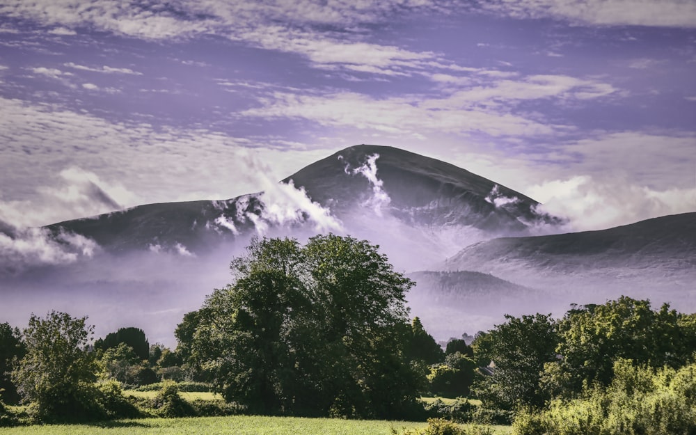 Grüne Bäume in der Nähe von Bergen unter weißen Wolken während des Tages