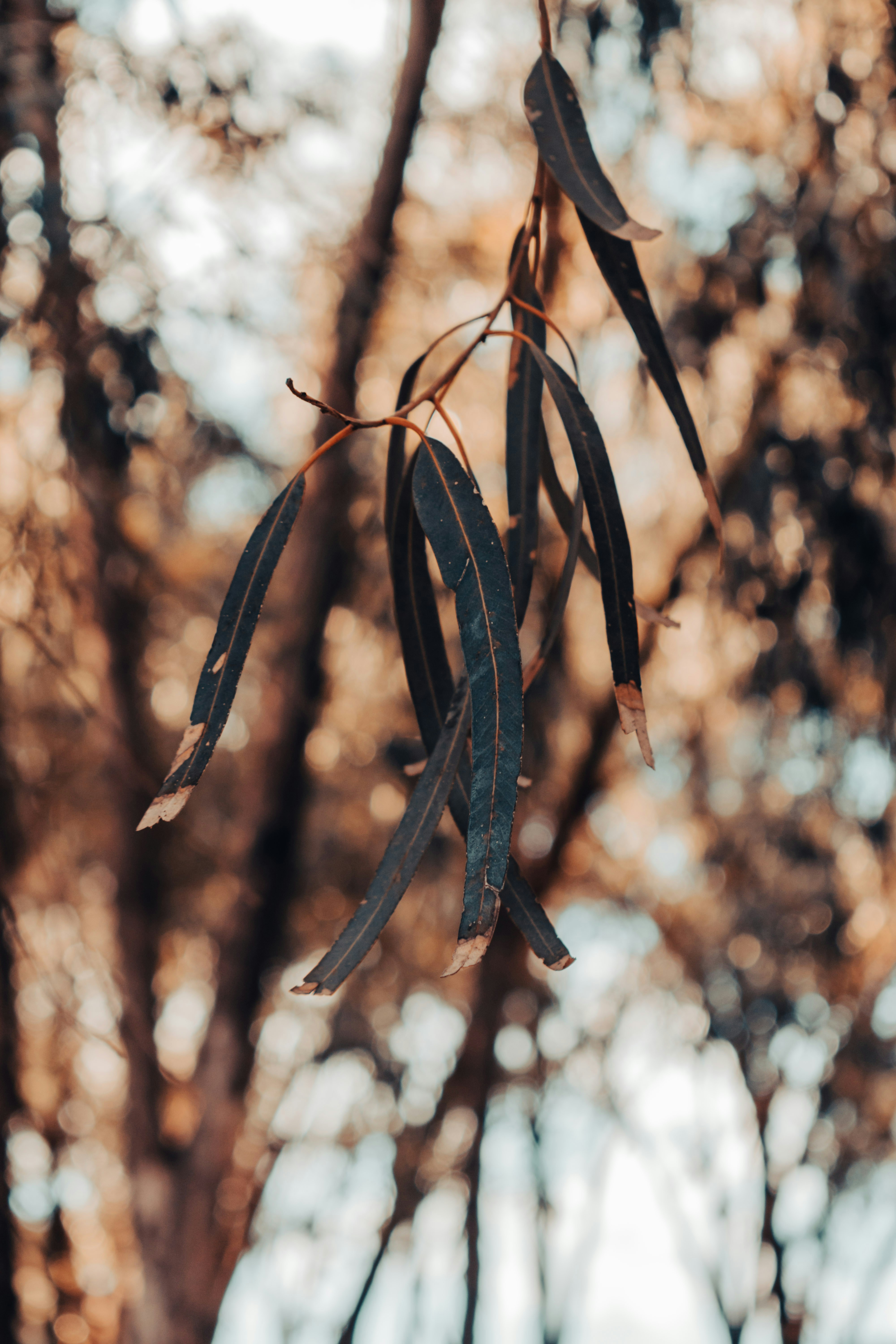 Tunis – Safety, Health & Local Etiquette